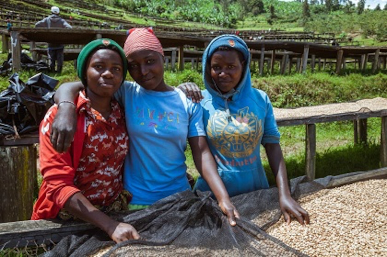 ルワンダ ムササWS ブルボン ハニープロセス